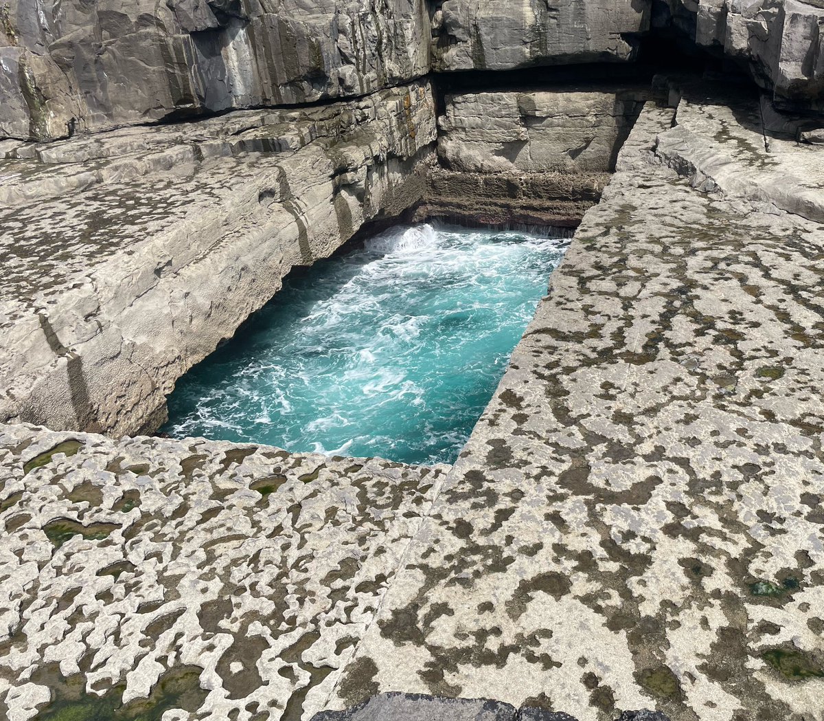 Mary Russell 🇮🇪 tweet media