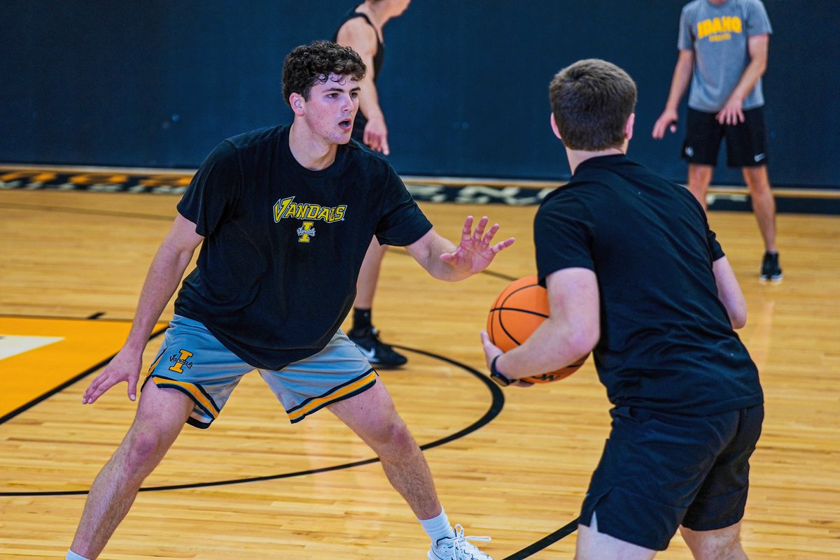 VandalHoops's tweet photo. 🎵𝙂𝙪𝙚𝙨𝙨 𝙬𝙝𝙤 𝙟𝙪𝙨𝙩 𝙜𝙤𝙩 𝙗𝙖𝙘𝙠 𝙩𝙤𝙙𝙖𝙮🎵

Summer training for the Vandals has gotten underway ✌️

#GoVandals https://t.co/6PhrSjsz9k