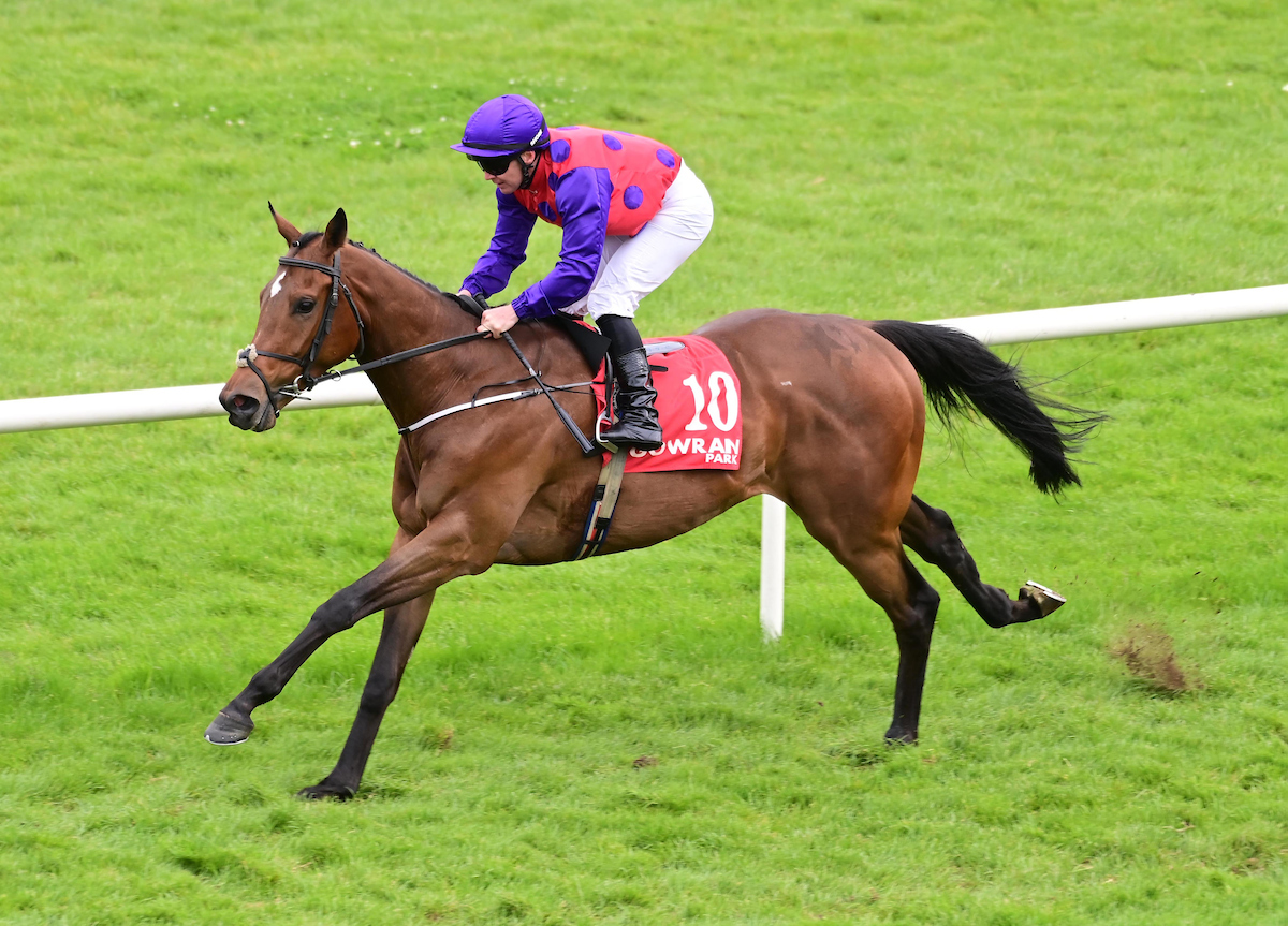 Tattersalls Ireland (@tattersalls_ie) on Twitter photo ๐ฅ Maestro Mark made a winning racecourse debut in the extended 1m1f maiden <a href="/GowranPark1/">Gowran Park</a> earlier today.
๐ค The three-year-old son of Tamayuz was a โฌ30,000 purchase at the 2023 September Yearling Sale from his breeder <a href="/wardstownstud/">Elaine Clarke</a> by John Murphy's <a href="/highfortstud/">Highfort Stud</a>.
#TattsIreGrad ๐ฅ Maestro Mark made a winning racecourse debut in the extended 1m1f maiden <a href="/GowranPark1/">Gowran Park</a> earlier today.
๐ค The three-year-old son of Tamayuz was a โฌ30,000 purchase at the 2023 September Yearling Sale from his breeder <a href="/wardstownstud/">Elaine Clarke</a> by John Murphy's <a href="/highfortstud/">Highfort Stud</a>.
#TattsIreGrad