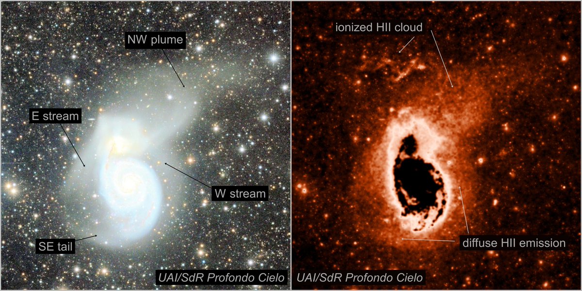 M51 ultra-deep image  

Taken in 2020, this image is still one of the deepest of this galaxy. Full: flic.kr/p/2kXn4HS

Credits: Giuseppe Donatiello (PI), Alessandro Falesiedi, Mario Lovrencie and Tim Stone (Unione Astrofili Italiani - Deep Sky Research Section)