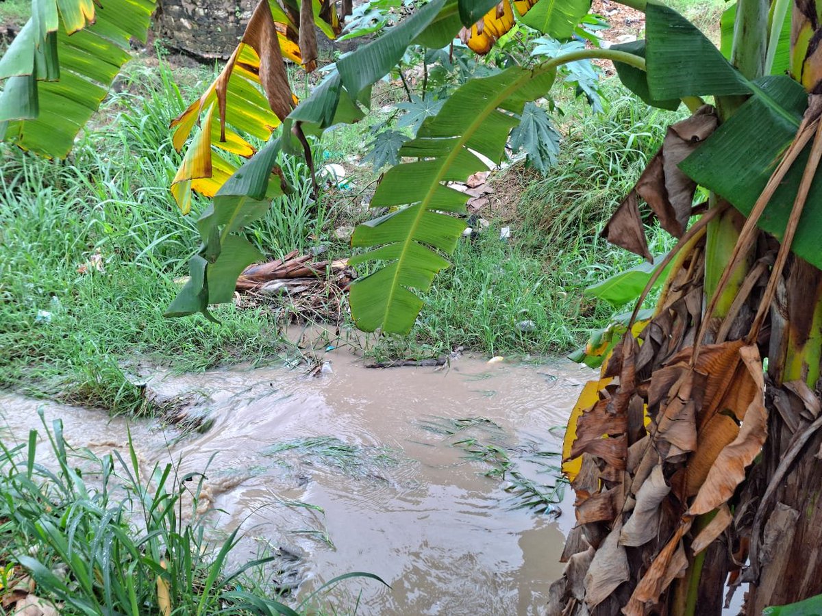 Manyatta Africa (MA) tweet media