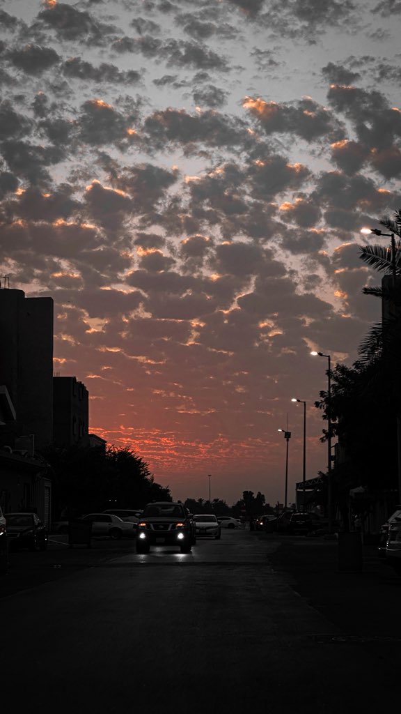 - مساء الانوار 🌸 : 

"ما كنتُ أحسبُ أن طرفًا ناعسًا
قد يُورثُ العقلَ السَّليمَ جُنونا"