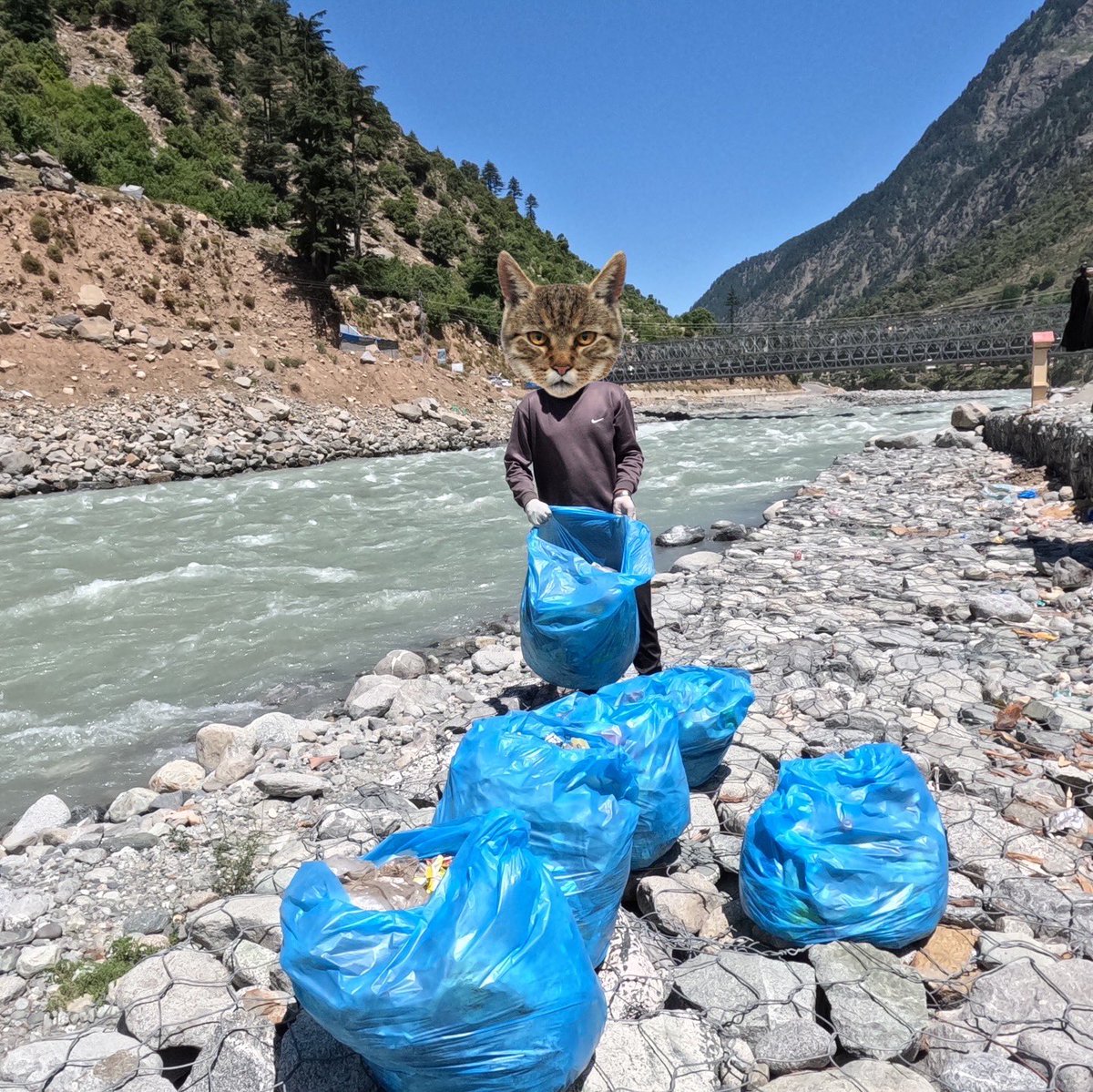 Poke Plastic tweet media