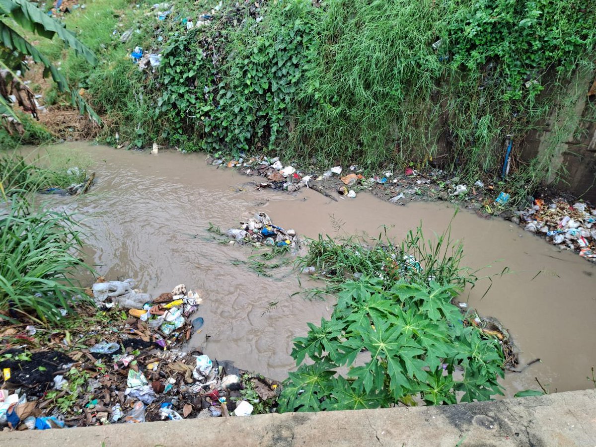 Manyatta Africa (MA) tweet media