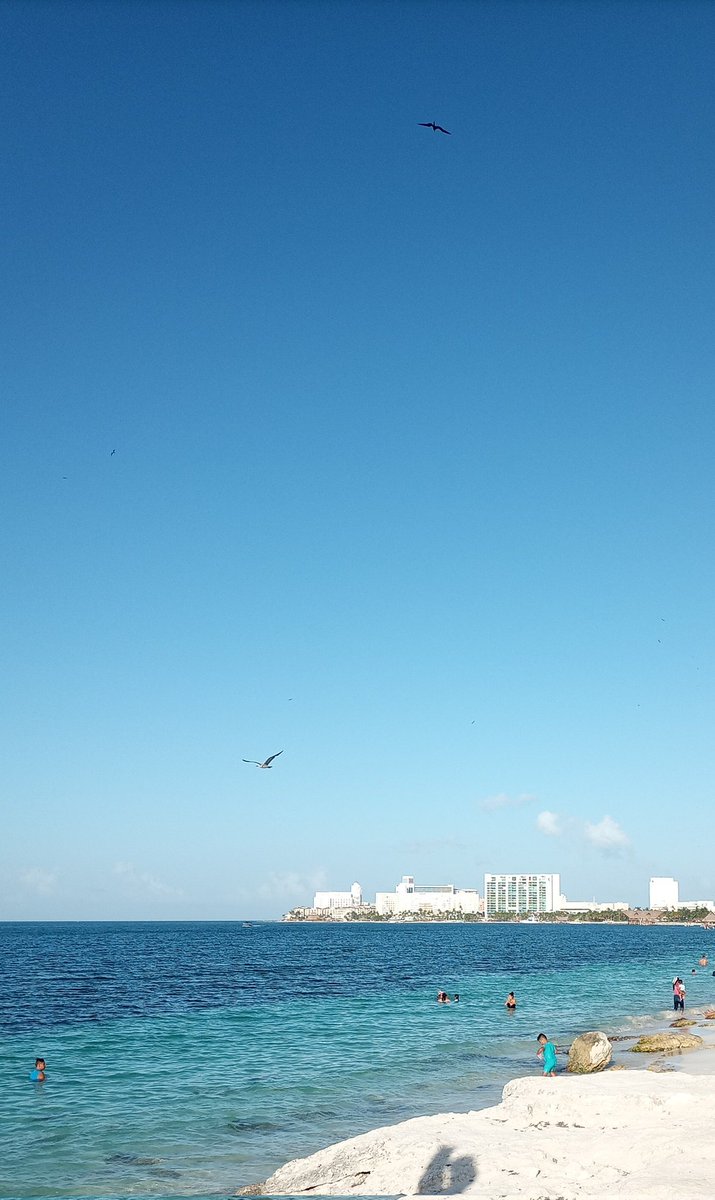 En fin, seguiré disfrutando del sol, el mar y la arena 😎