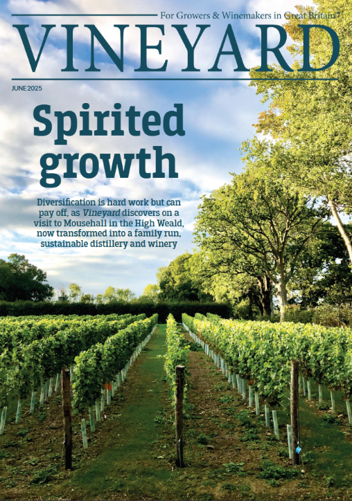 The latest Vineyard is out now!🥂

We preview Effevent’s sparkle at the upcoming Vineyard &amp; Winery Show, explore a stunning Devon vineyard for sale &amp; visit a sustainable family-run winery in the High Weald

Don’t miss it! #EnglishWine #VineyardMagazine #KelseyMedia #SparklingWine