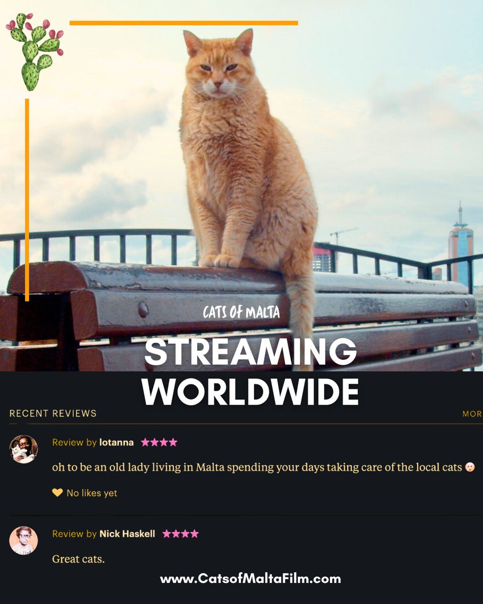 CatsofMaltaDoco's tweet photo. 'Oh to be an old lady living in Malta spending your days taking care of cats' --- Lotanna (Letterboxd Reviewer) Live out your European cat lady dreams with Cats of Malta. Streaming worldwide https://t.co/ukCqoubTZi @Tubi @PrimeVideo @Kanopy @plex #CatsOfTwitter #MondayVibes https://t.co/hNDVS8jQ46
