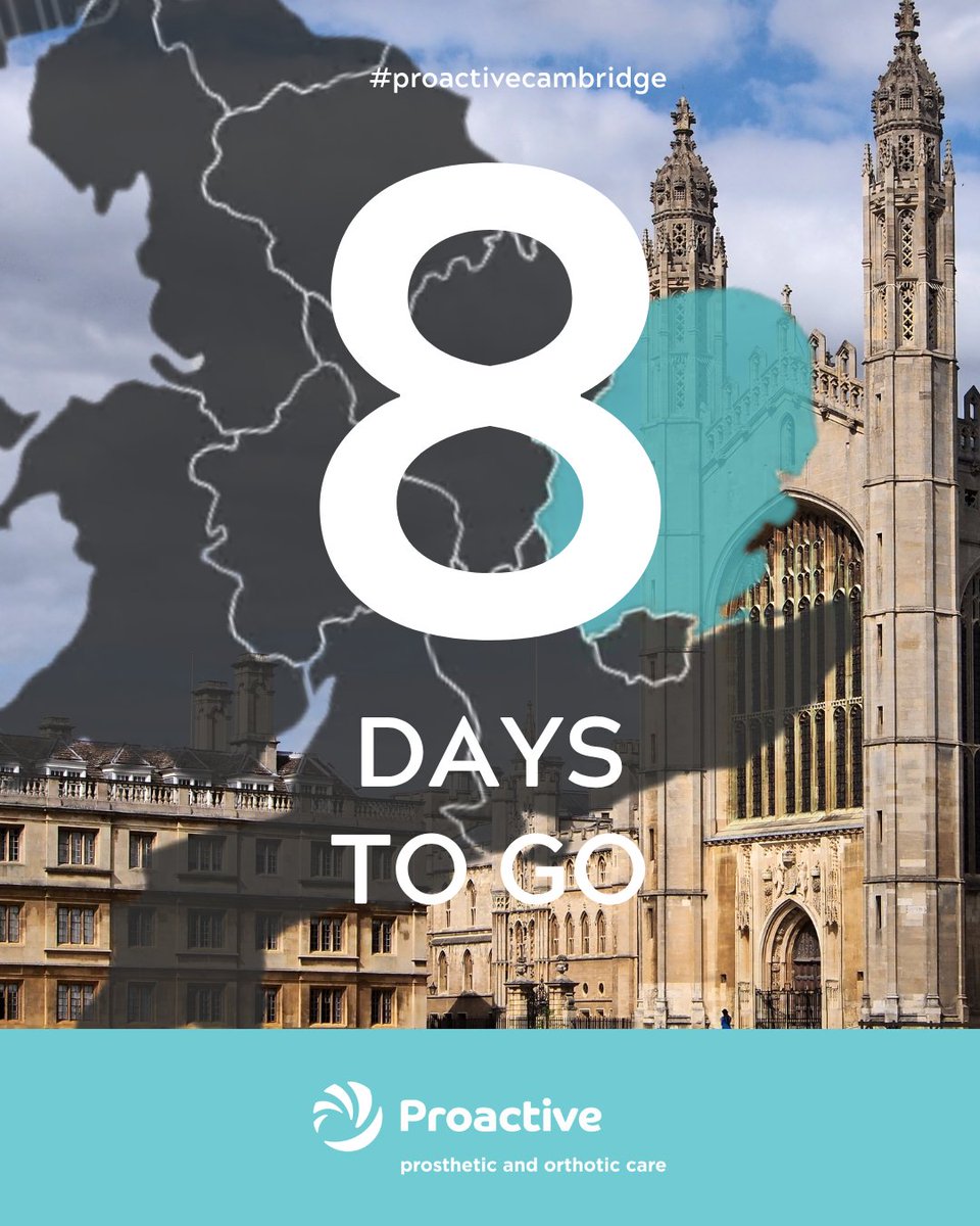 Proactive tweet media