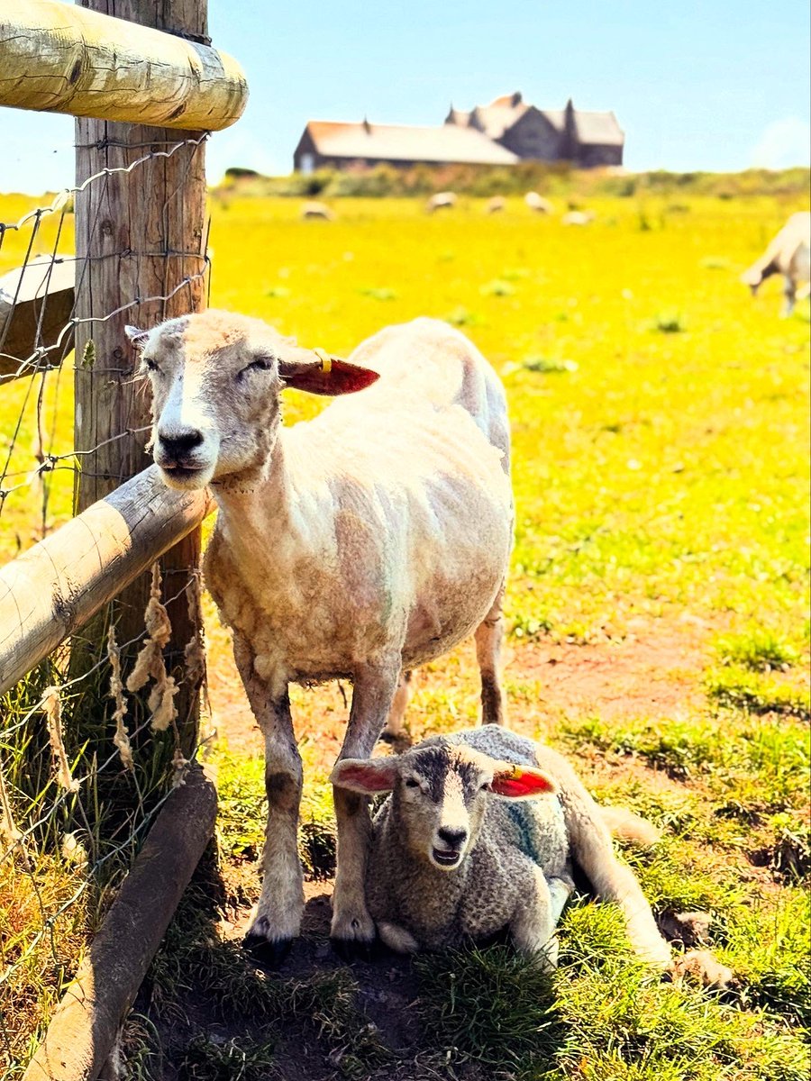 Peter J Hollely-Robins OStJ BEM tweet media