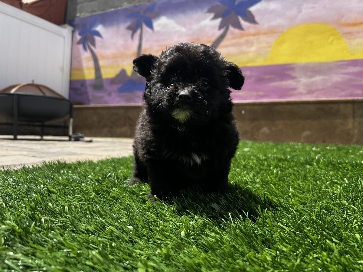 ‼️FOR SALE!    SOL: 3.5      Zone: In nj.‼️