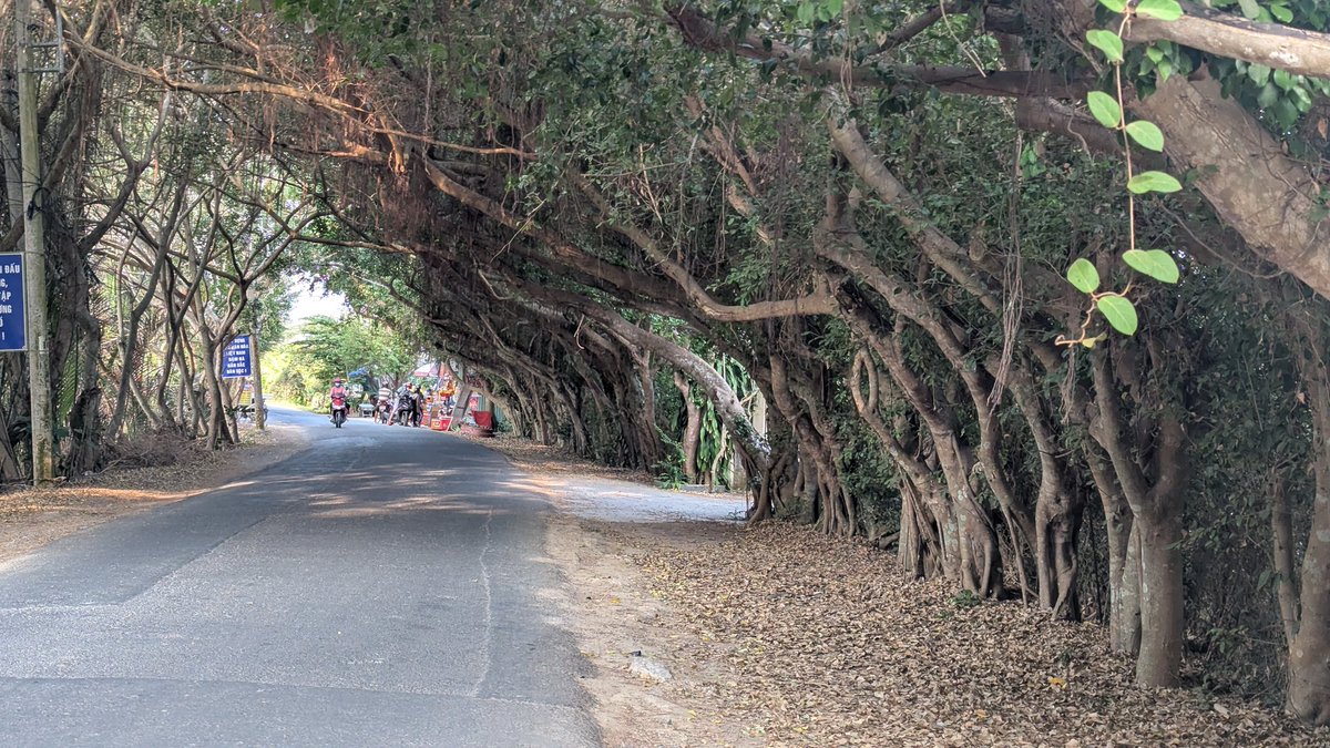 Lý Tiên Đạt | Klalan tweet media