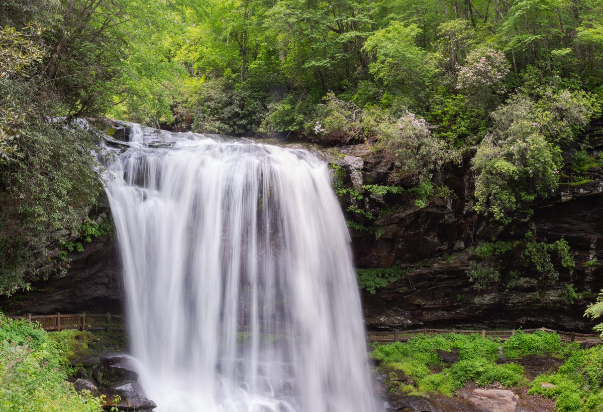 Jack C Koch (jackckoch.bsky.social) tweet media