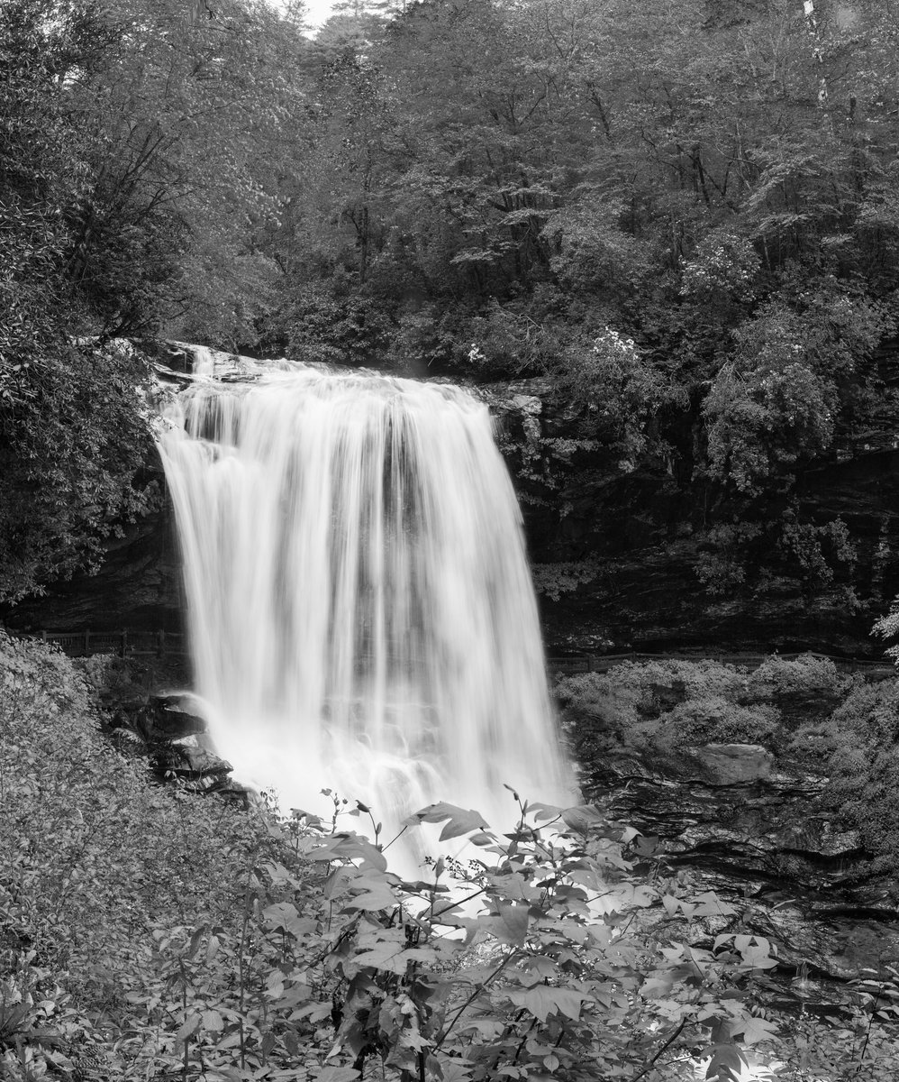 Jack C Koch (jackckoch.bsky.social) tweet media