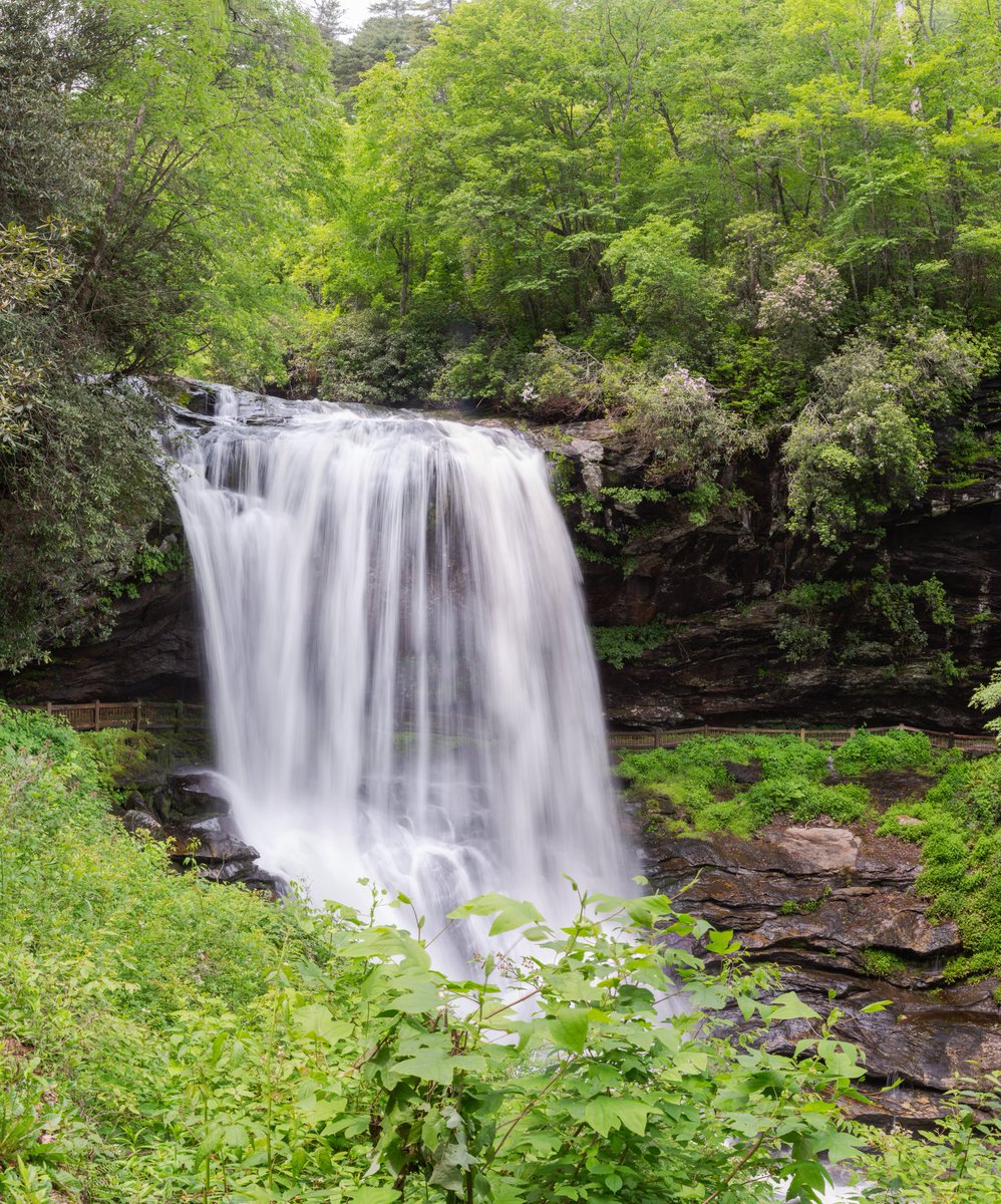 Jack C Koch (jackckoch.bsky.social) tweet media