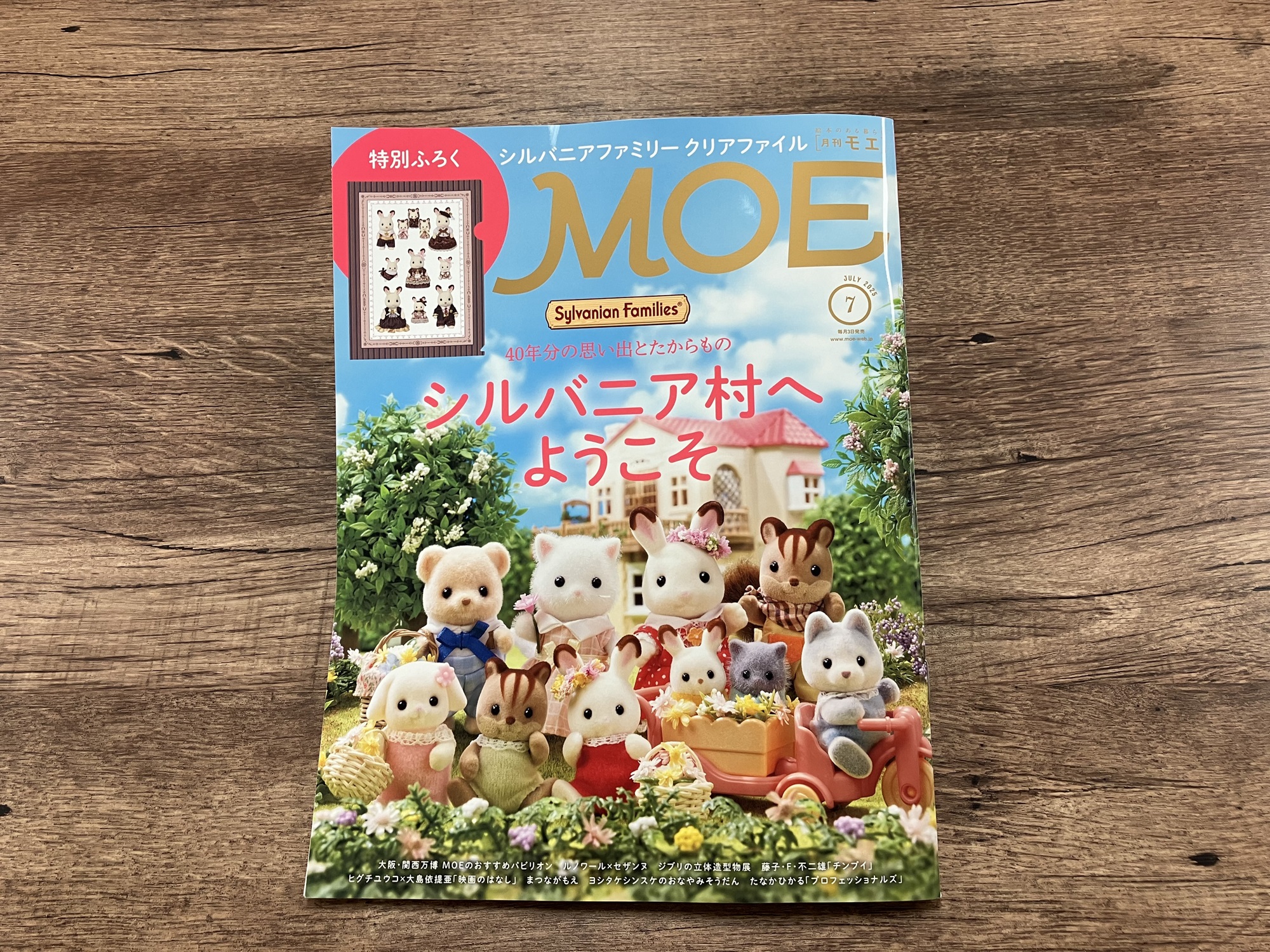 世界の美術館 複数号 セット 本日より三菱一号館美術館でスタートする「ルノワール×セザンヌ