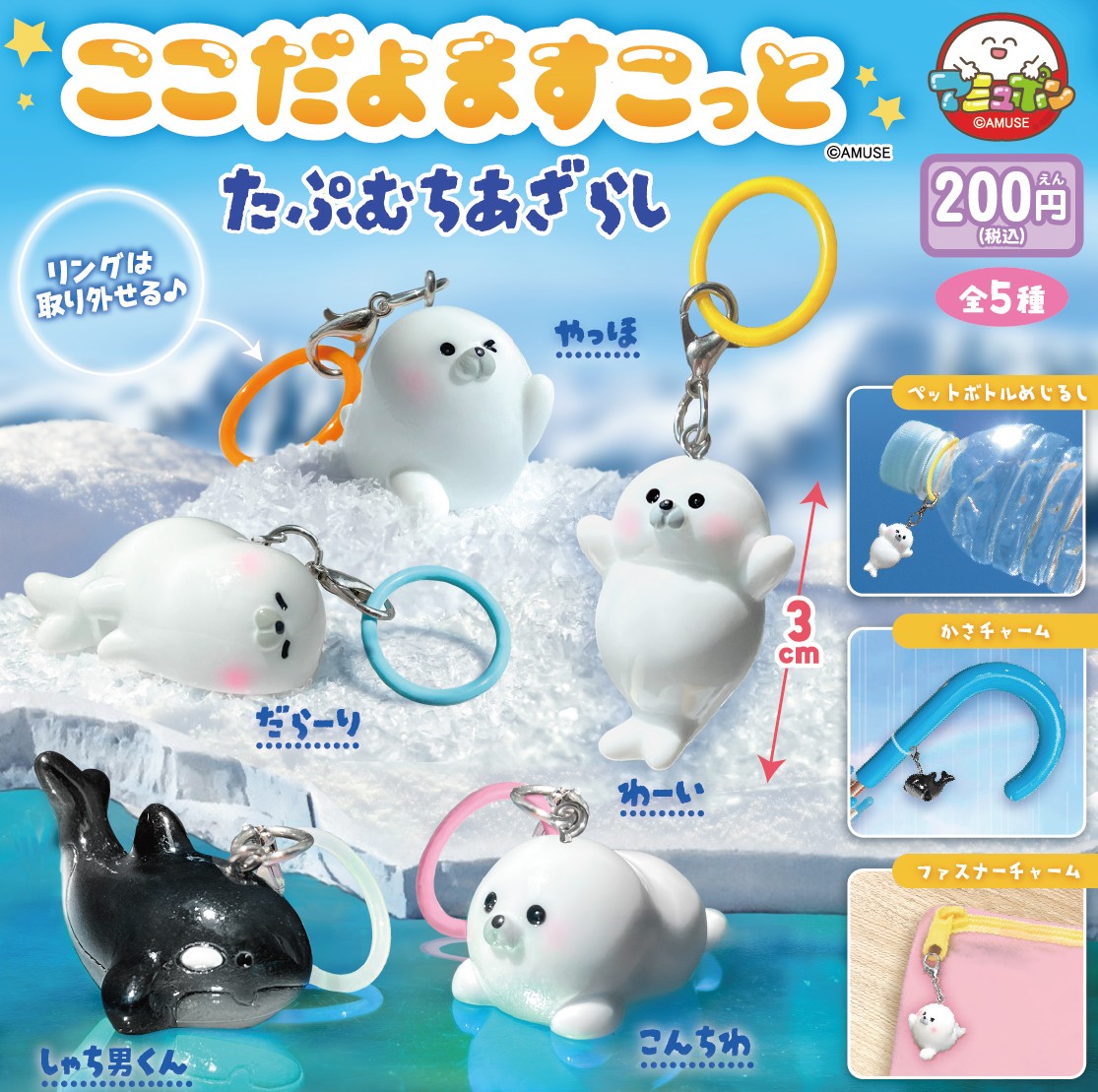 📣9月発売予定✨ 『ここだよますこっと たぷむちあざらし』200円 た