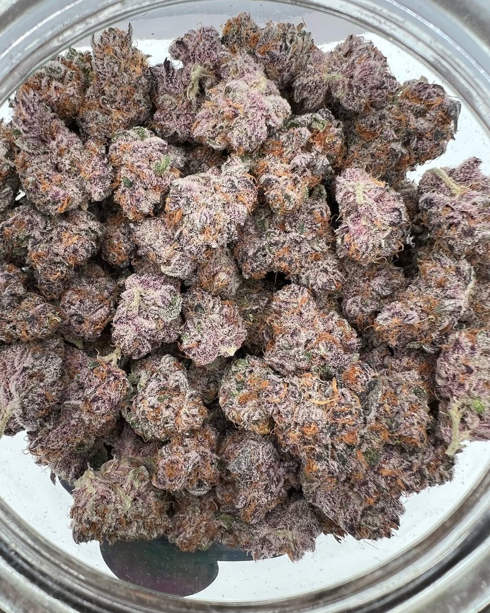 Some Grand Daddy Pluto smelling and looks insane🔥🔥💯