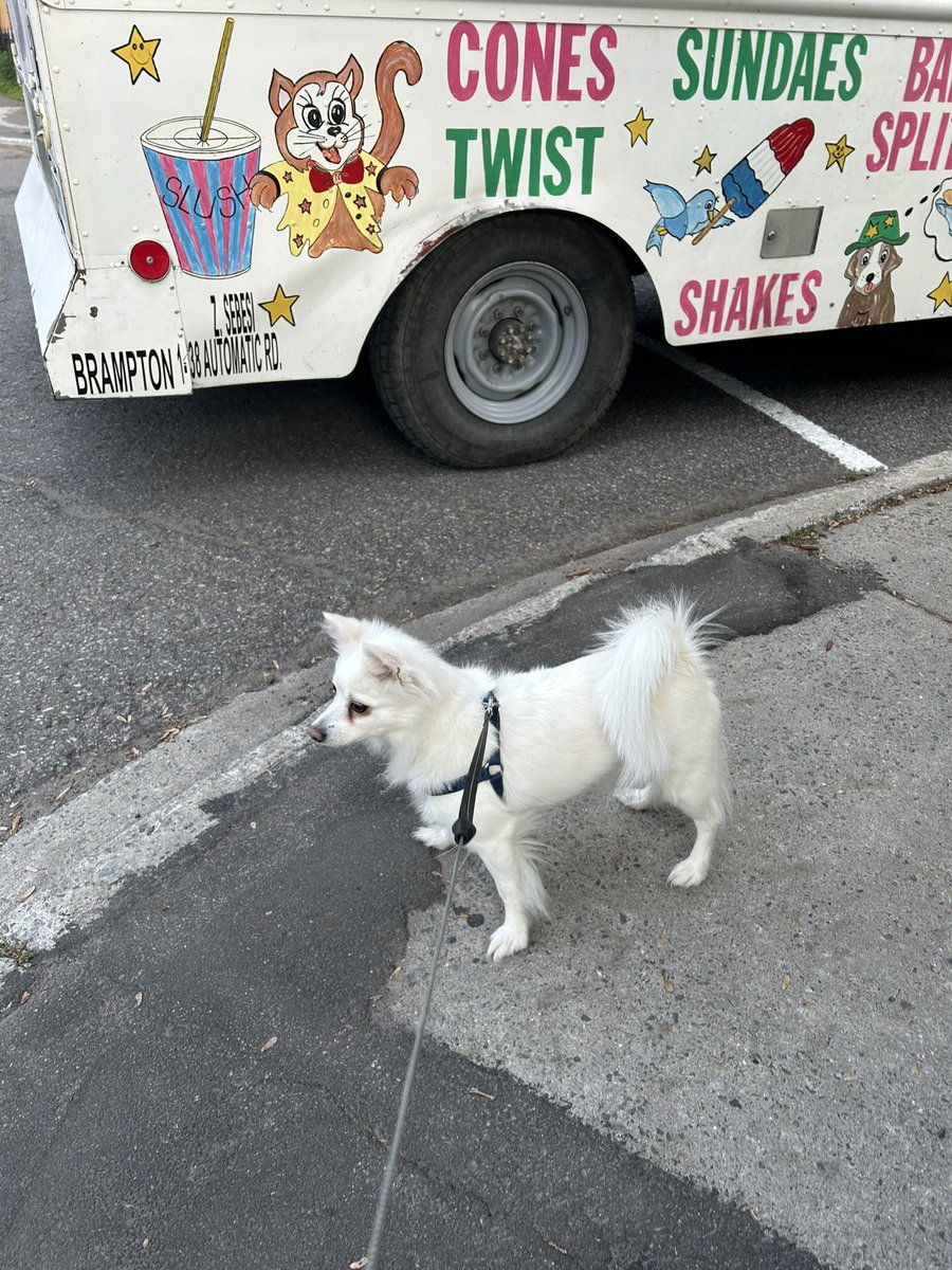 ughfluffwhatevr's tweet image. not sure about the ice cream truck