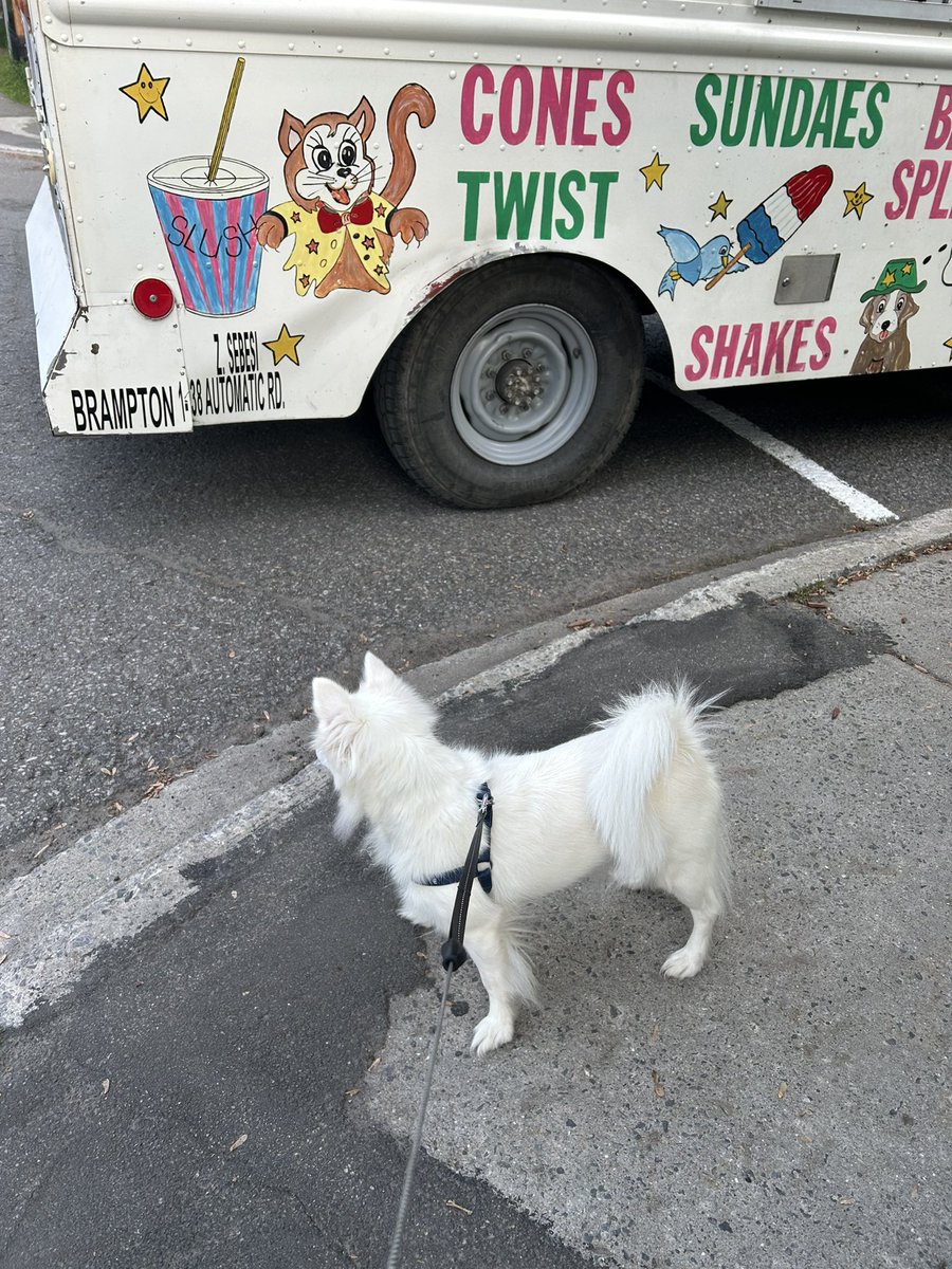ughfluffwhatevr's tweet image. not sure about the ice cream truck