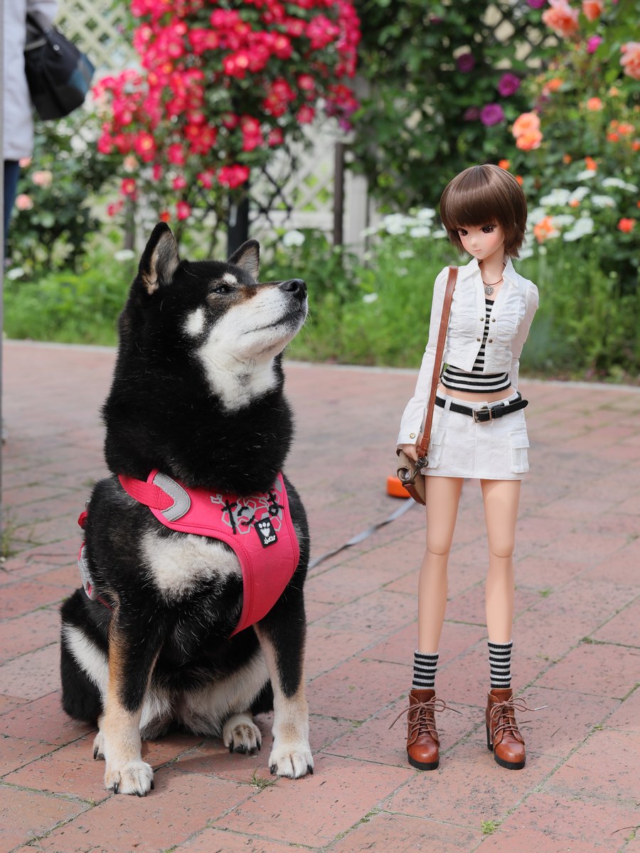 タマとメイ。🙂

#スマートドール
#smartdoll