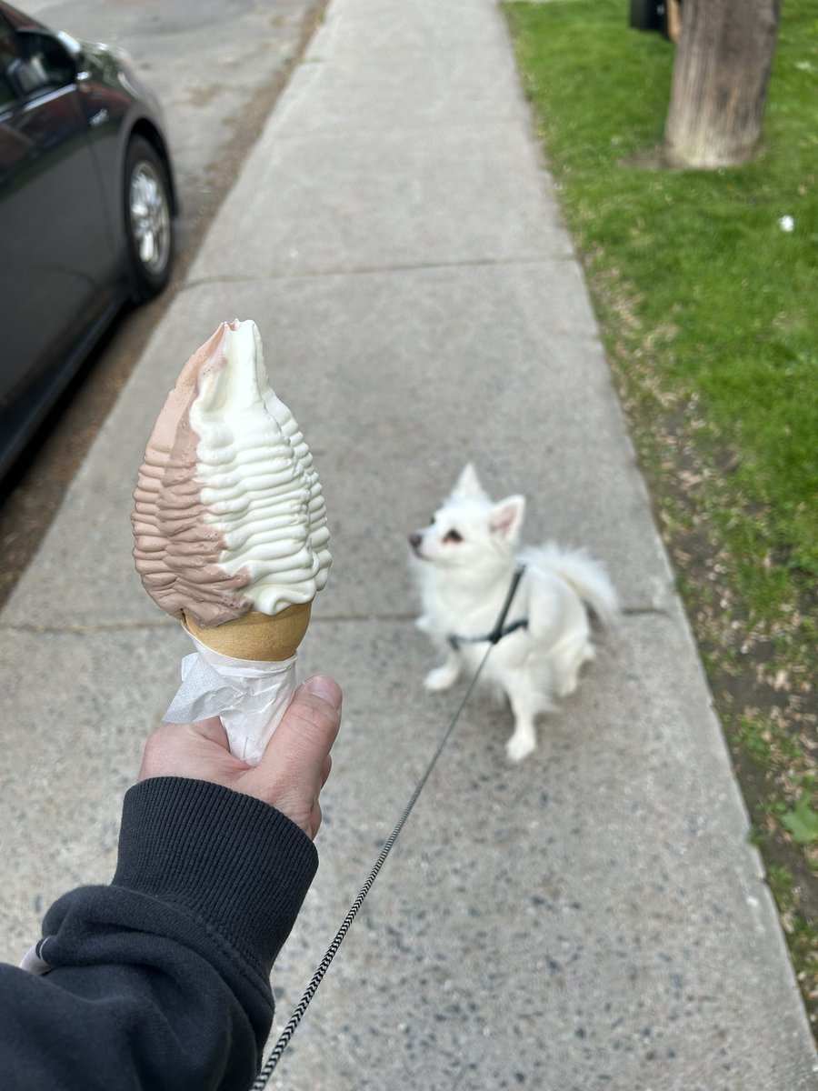 ughfluffwhatevr's tweet image. gimme dat