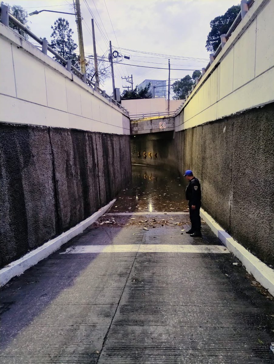 Alcaldía Cuajimalpa tweet media