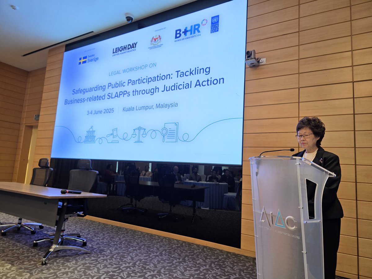 Attending Legal Workshop on Safeguarding Public Participation: Tackling Business-related SLAPPs through Judicial Action.