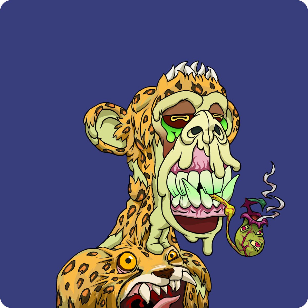 studioventures's tweet image. Itโs still #mutantmonday here. Just in time - secured this grail @BoredApeYC m2. A 4 Trait, Double-Bored, Pipe-hitting Cheetah. About as pure a cheetah as you can get! Big thanks to @anjelux_eth for the smooth trade. Welcome home!