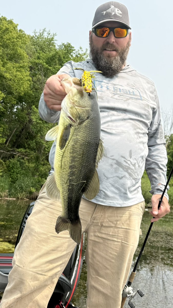 CKFishin's tweet photo. Just a little bit of froggin’. One of my favorite ways to catch bass. 

#bassfishing #largemouthbassfishing #fish #fishinglife #fishon #frogging #froggin https://t.co/x6taC5JsAc