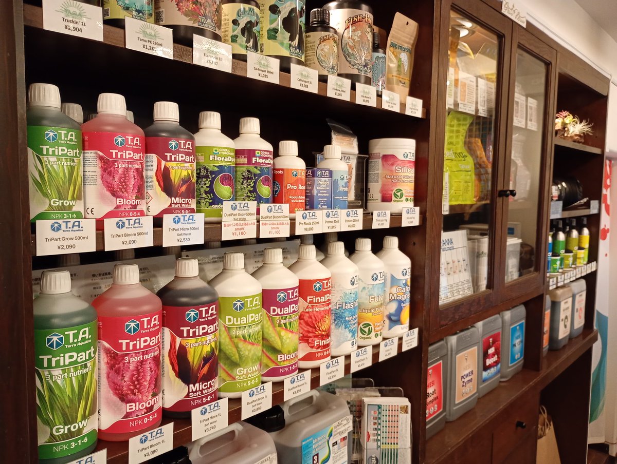 zounotamago1982's tweet photo. 祝開店✨
昨日6/2に弊社の直営店growstore下北沢がオープンいたしました！
珍しい海外の肥料、観葉、多肉、園芸用品など販売しております。
早速お客様の来店があり感謝です🙏
下北沢に来る際はぜひ足をお運びください。
#growstore #下北沢 #観葉植物 #多肉 #BIOBIZZ  #鎌倉通り https://t.co/sE5Rpb2CsT