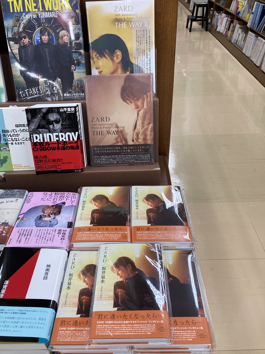 芸術書】 『ZARD/坂井泉水 〜君に逢いたくなったら…〜』（ミュージック