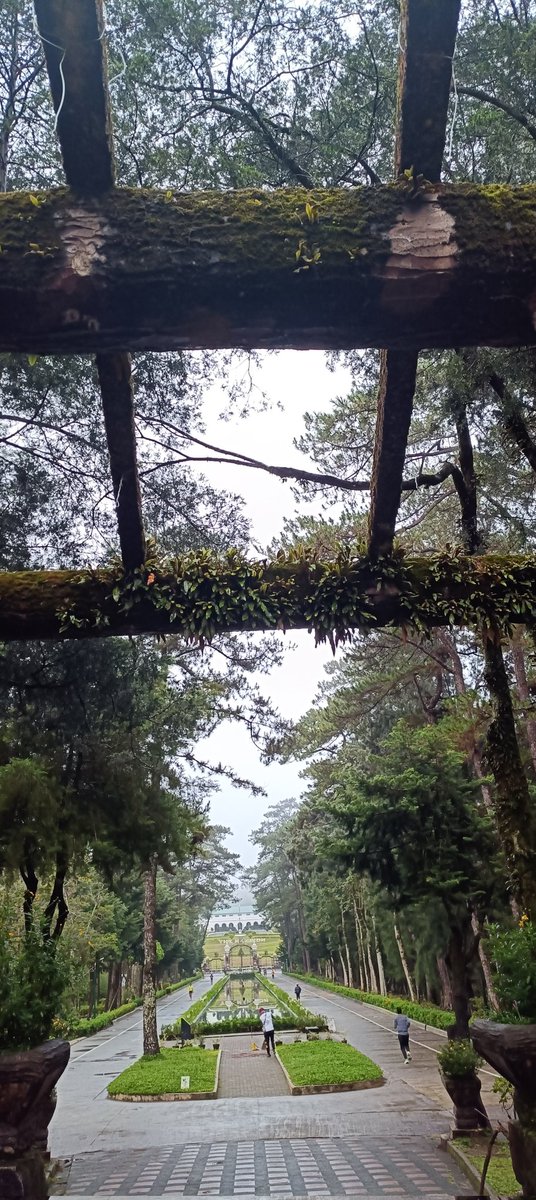 Swane47688833's tweet photo. Morning view...crispy morning
#photographicArt #morningwalk
#WrightPark #TheMansionHouse
#ThickFogs #ReflectionPool
#Gazeebo#TheCircle#morningjog #healthylifestyle #HealthyLiving https://t.co/n1osITIyl8