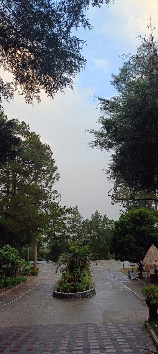 Swane47688833's tweet photo. Morning view...crispy morning
#photographicArt #morningwalk
#WrightPark #TheMansionHouse
#ThickFogs #ReflectionPool
#Gazeebo#TheCircle#morningjog #healthylifestyle #HealthyLiving https://t.co/n1osITIyl8