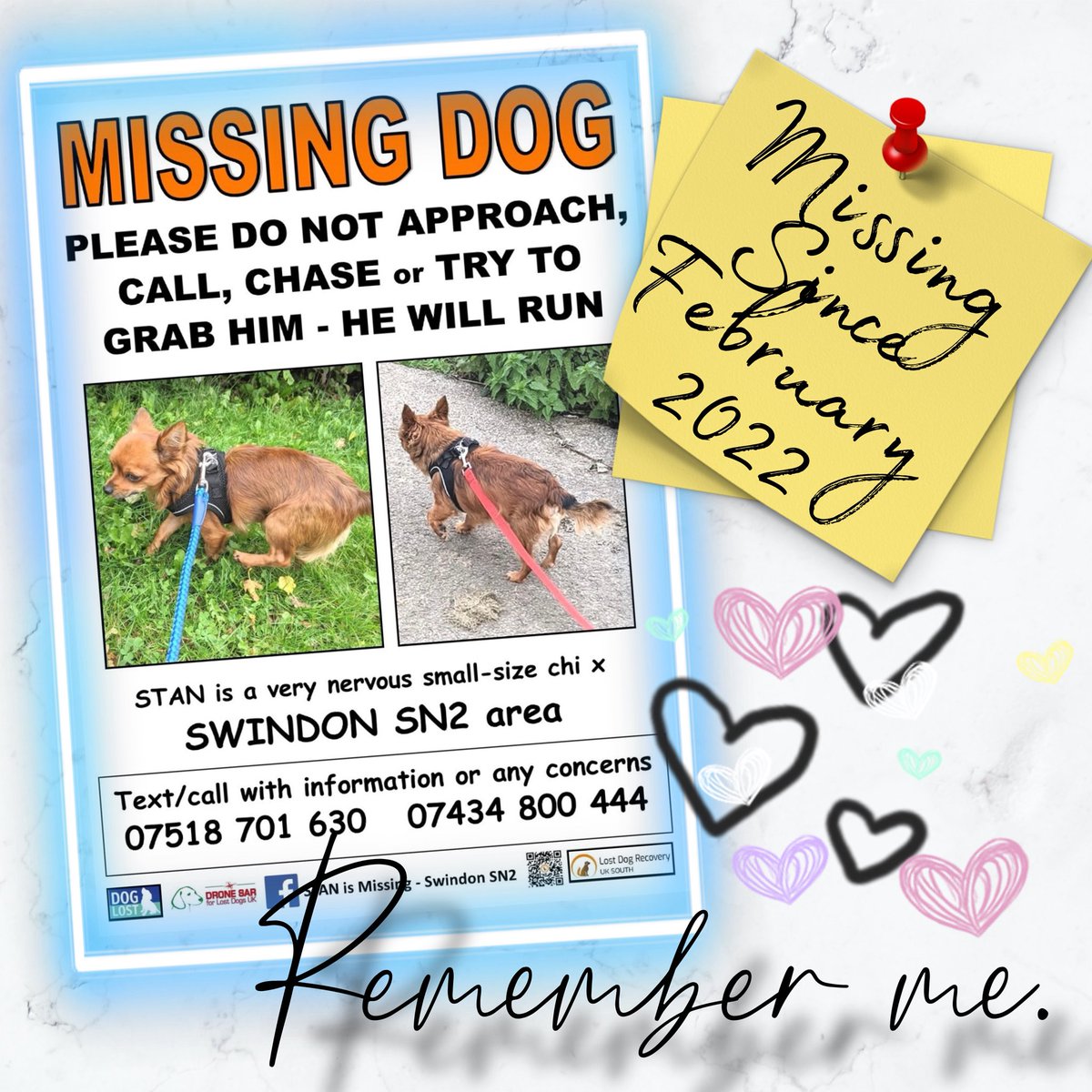 Lost Dog Recovery UK South tweet media