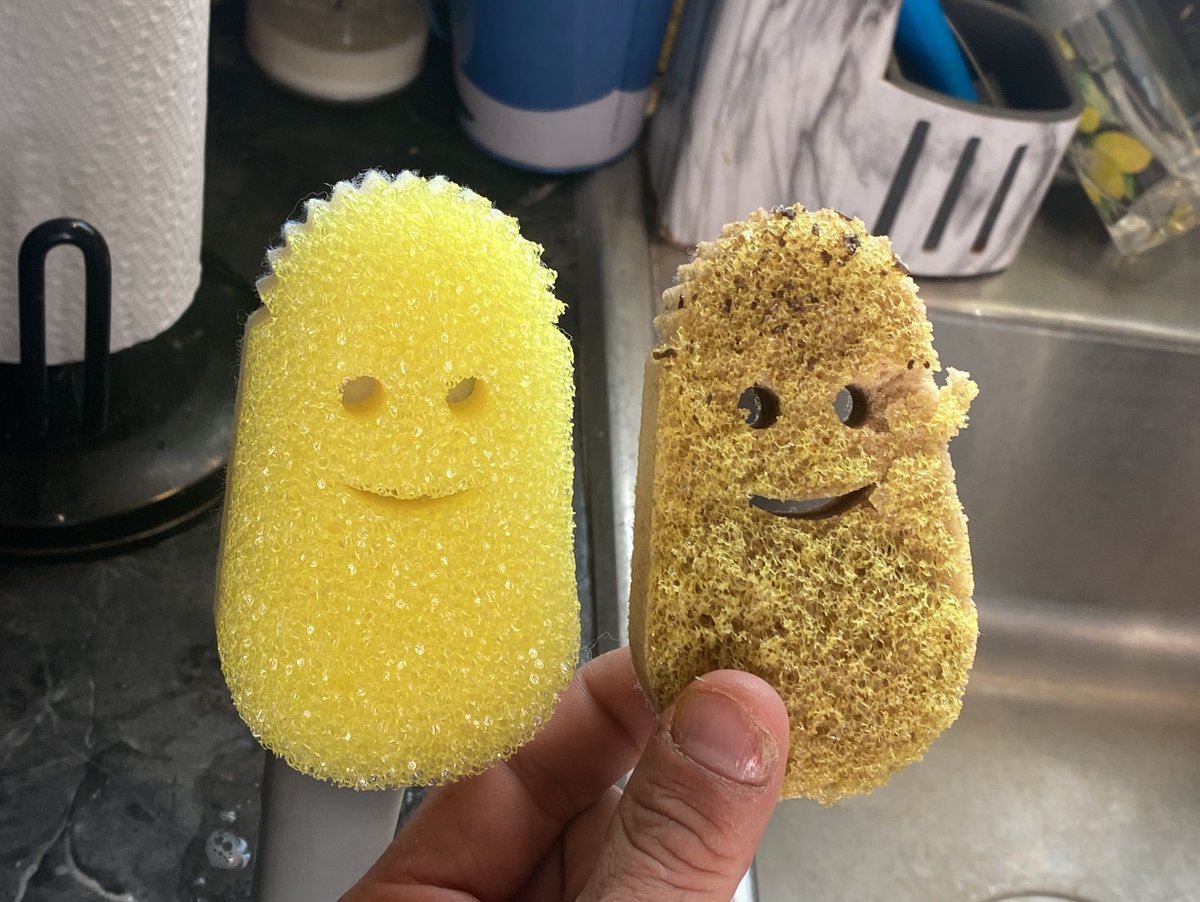 Y’all ever seen a scrub daddy begging for the sweet release of d*ath?