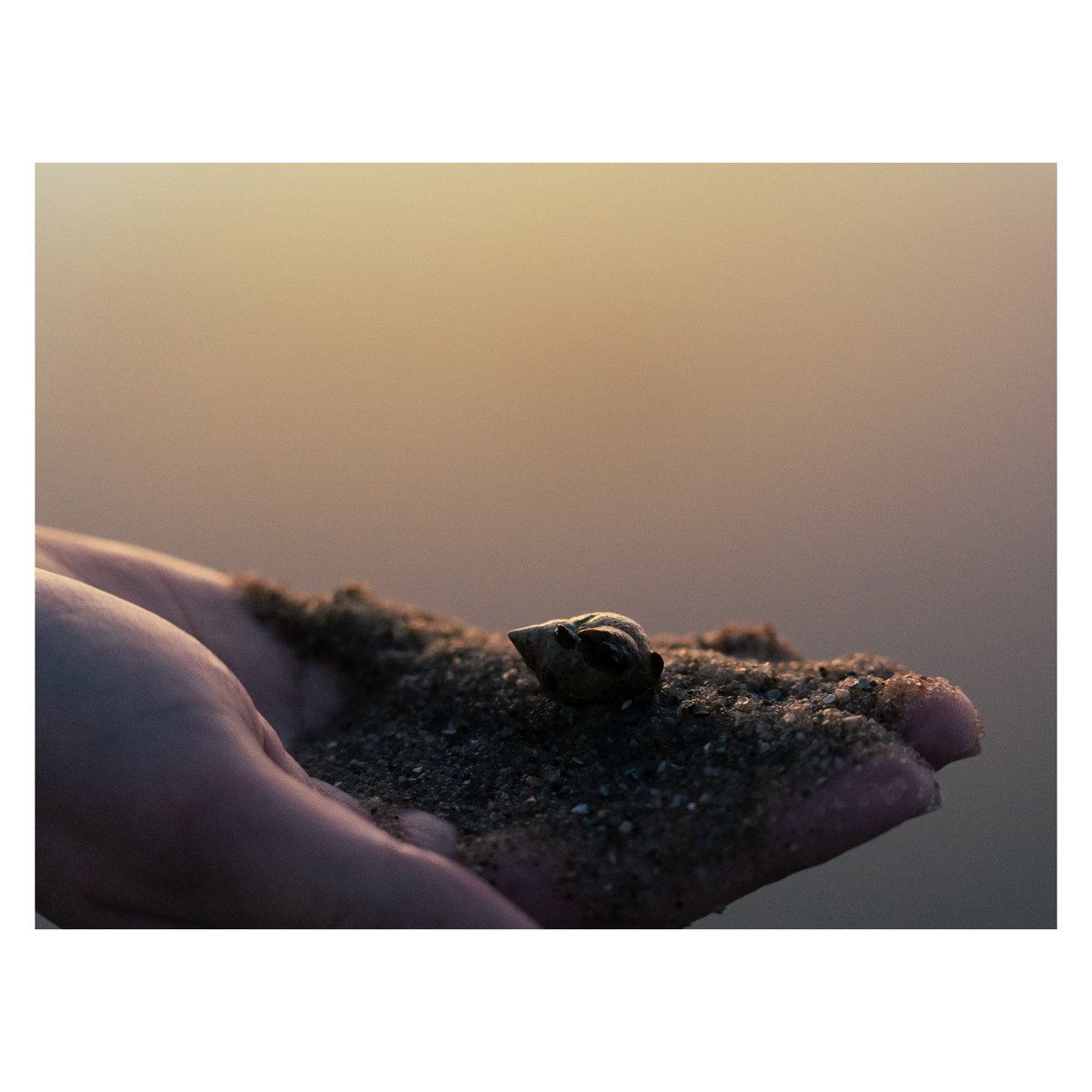 Eric Liffrig tweet media