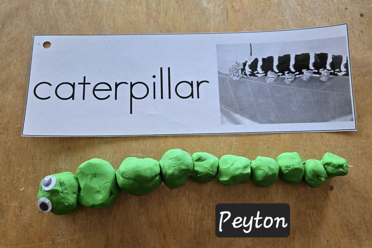 Holley DOrazio tweet media