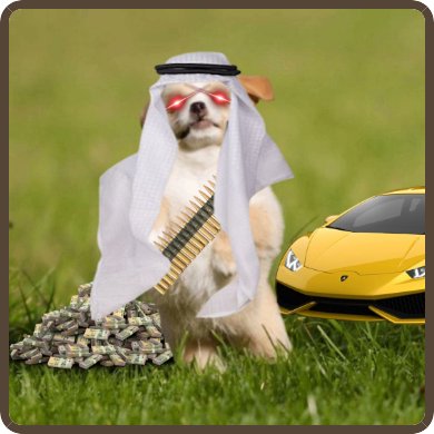 <a href="/Fityeth/">fity.eth</a> Facts. Only the real ones like $WILLY make that cut, built to last, no gimmicks
