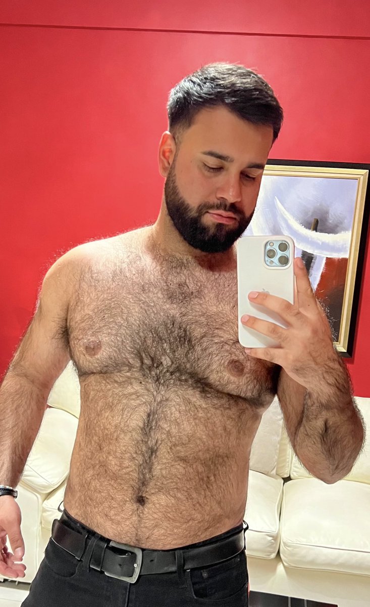 El Bearcito (@luisporta01) on Twitter photo 