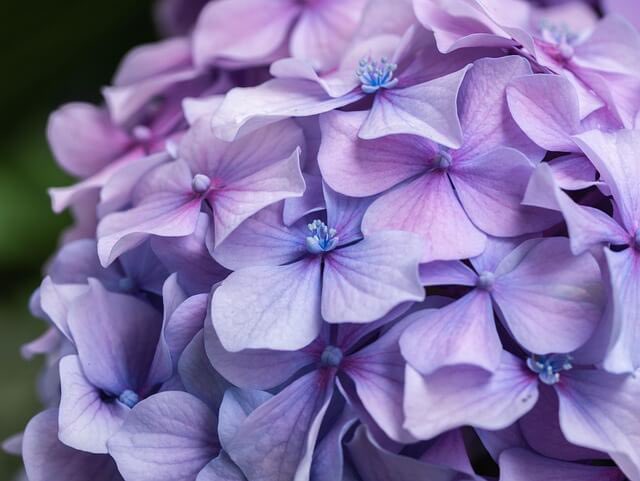 katy1953 ๏ผโ๐ฏ๐ตๆฟๆฒปใซ่ๅณใ๐ฏ๐ต๏ผ (@6wxvjkfc4ea8tec) on Twitter photo โค๏ธโ๐ฉน6ๆ3ๆฅโค๏ธโ๐ฉน
ใใฏใใใใใใพใ๐
Happy Tuesday ๐ซ๐๐
ใใใใใกใใใฎๆใใ
ไบบ็ใฏๅฃฎๅคงใชๆใคใถใใ
ๆฅฝใใใใฃใฆใใใฐ่ฏใ
ไปๆฅใฎ่ช็่ฑ
โจในใคใซใบใฉ
ใๆใฎ็ตใ็ฎ่บซ็ใชๆ
โจใขใธใตใค
ใ็งปใๆฐใๅท้
ท โค๏ธโ๐ฉน6ๆ3ๆฅโค๏ธโ๐ฉน
ใใฏใใใใใใพใ๐
Happy Tuesday ๐ซ๐๐
ใใใใใกใใใฎๆใใ
ไบบ็ใฏๅฃฎๅคงใชๆใคใถใใ
ๆฅฝใใใใฃใฆใใใฐ่ฏใ
ไปๆฅใฎ่ช็่ฑ
โจในใคใซใบใฉ
ใๆใฎ็ตใ็ฎ่บซ็ใชๆ
โจใขใธใตใค
ใ็งปใๆฐใๅท้
ท