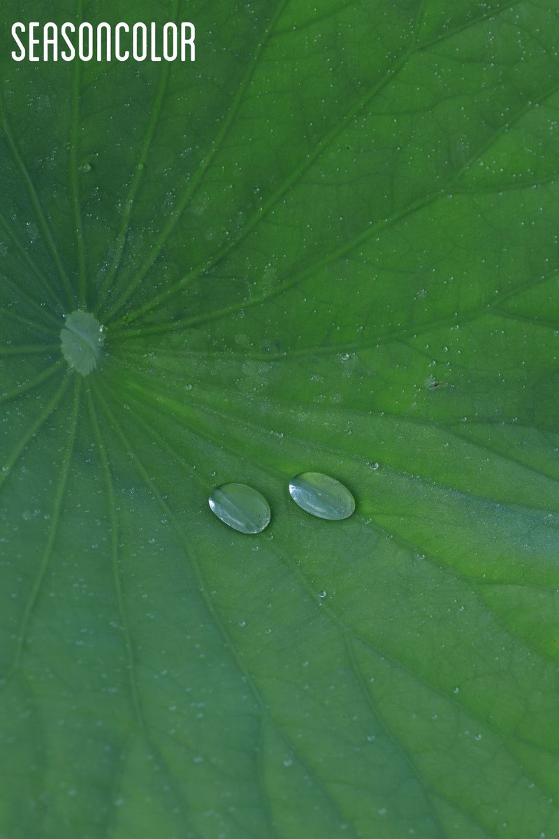 おはようございます
雨の朝
よい1日をお過ごしください