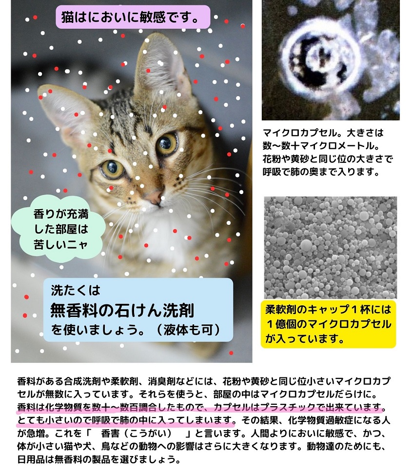 eco_eco_x's tweet photo. 【ペットにも香害の影響が…】
犬や猫は人間よりもずっと敏感な嗅覚を持っています。
香料付き洗剤や柔軟剤、芳香剤などはペットのストレスや体調不良の原因になる事も。
「いい香り」は彼らにとって“毒”かもしれません。
#香害 #ペットの健康 #無香料生活 #猫のいる暮らし ＃犬 ＃環境月間 ＃ＳＤＧｓ https://t.co/4COEOzm343
