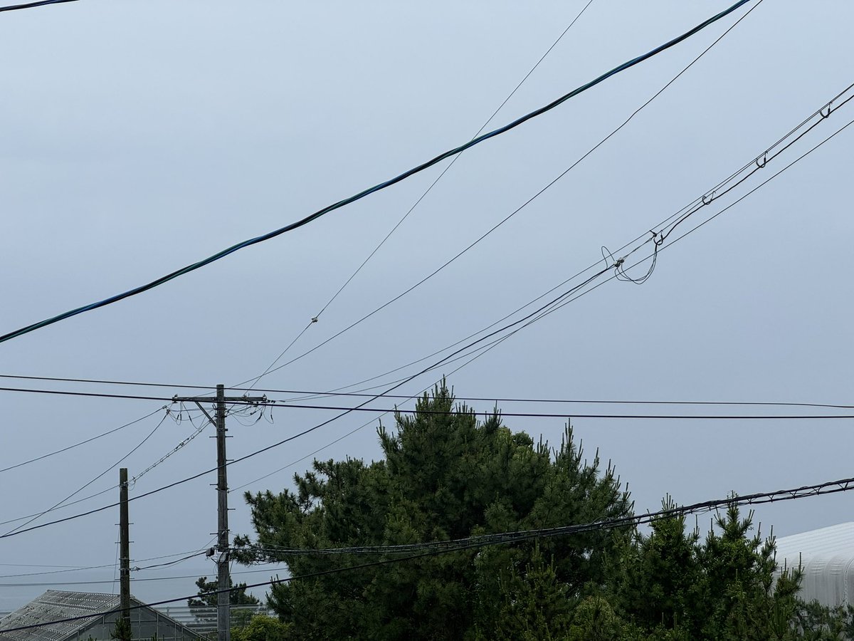 おはグラシア〜す☀️👋🐷

6月3日(火)雨☔時々曇り☁️
最高気温22℃降水確率100%
6時19分の #朝空 です☝️

パラパラと小雨が降っていて空気も冷たいです。今日は夜までずっと雨が降る予報です☔️
#富士山🗻は今日一日お休みです💤

さて今日6月3日は何の日？😳
「雲仙普賢岳祈りの日」だそうです👋🐷