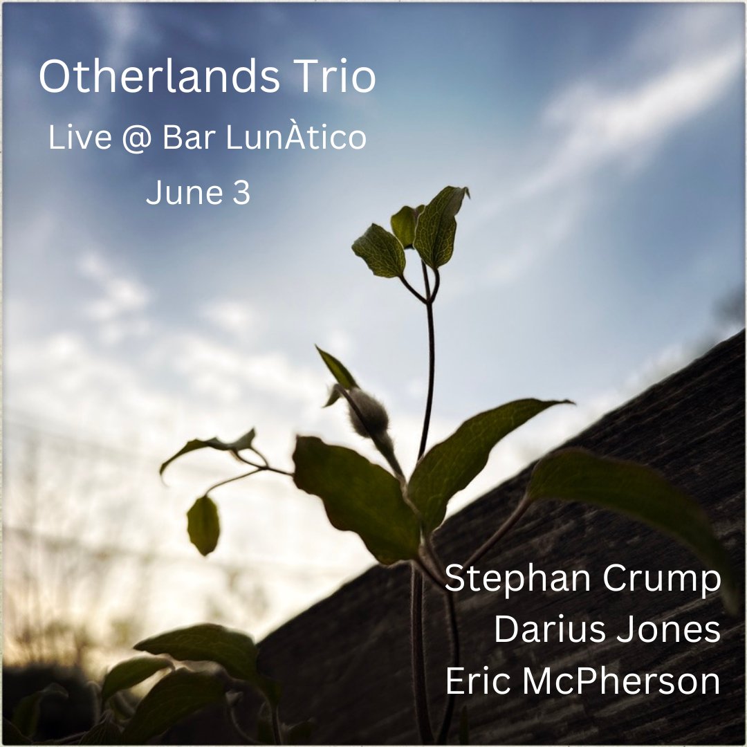 Otherlands Trio plays <a href="/BarLunAtico/">BarLunatico</a> this Tuesday night for two sets starting at 9pm....join us!