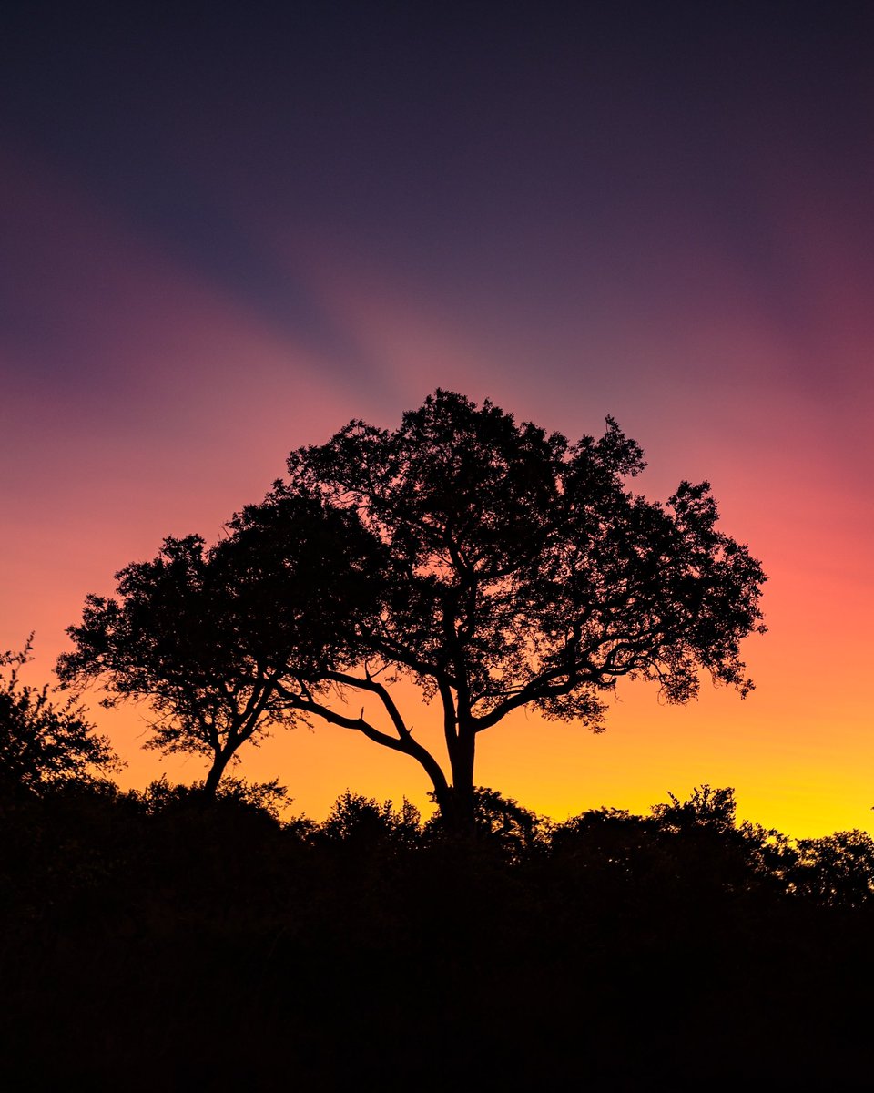 pgsilverX's tweet image. Rare Light: Mediterranean Ocean, South Africa, Namibia, Mexico