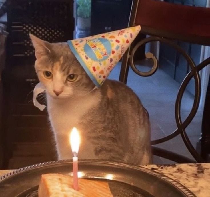 BU ARADA 20 OLDUMM!!! 🥳🎉🎊