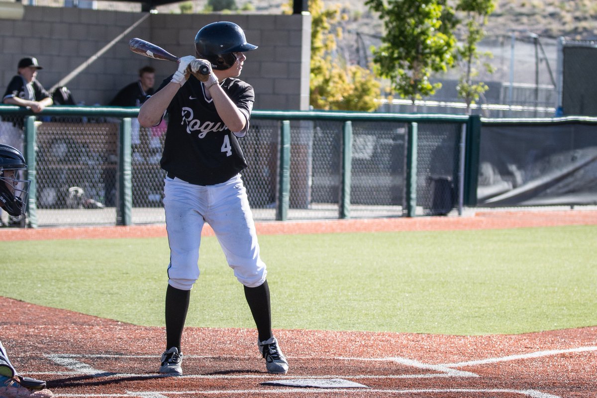 Colorado Rogue Baseball Club tweet media