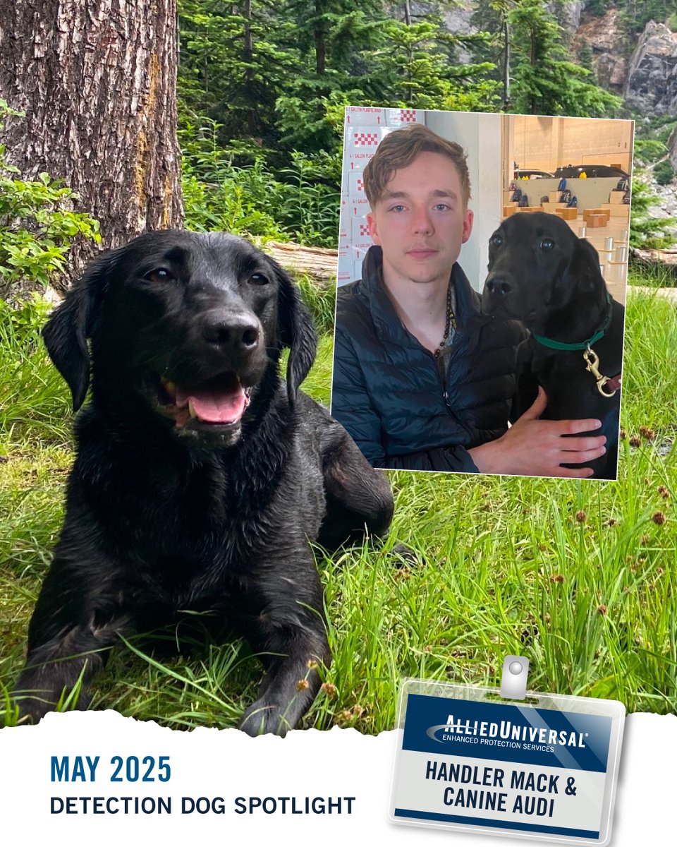 In the Pacific Northwest, Handler Mack Pruitt and canine Audi are setting the standard for air cargo screening with their dedication to continuous training and top-tier performance. 

Read more about this exceptional team here via the link below.
ow.ly/HgyC50W2OuE
