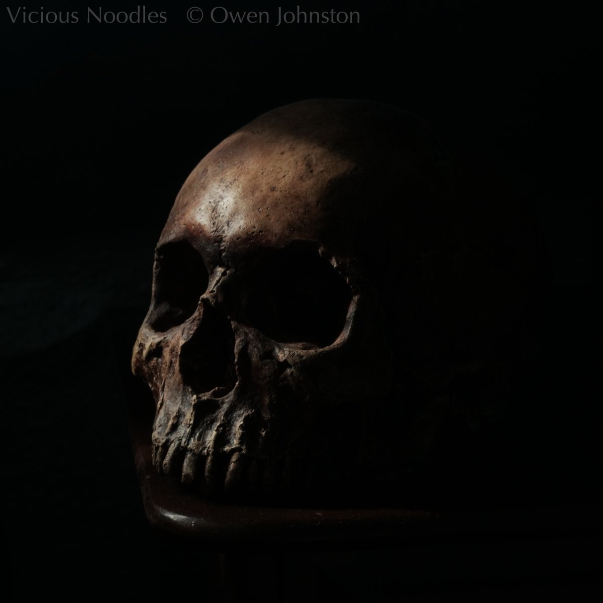 Quality #handmade human #skull replica, #fossil finish. International shipping from UK, buy from viciousnoodles.com.
#ReplicaSkull #goth #horror #archaeology #halloween #DarkAcademia #crâne #gothic #HumanSkull #StillLifePhotography