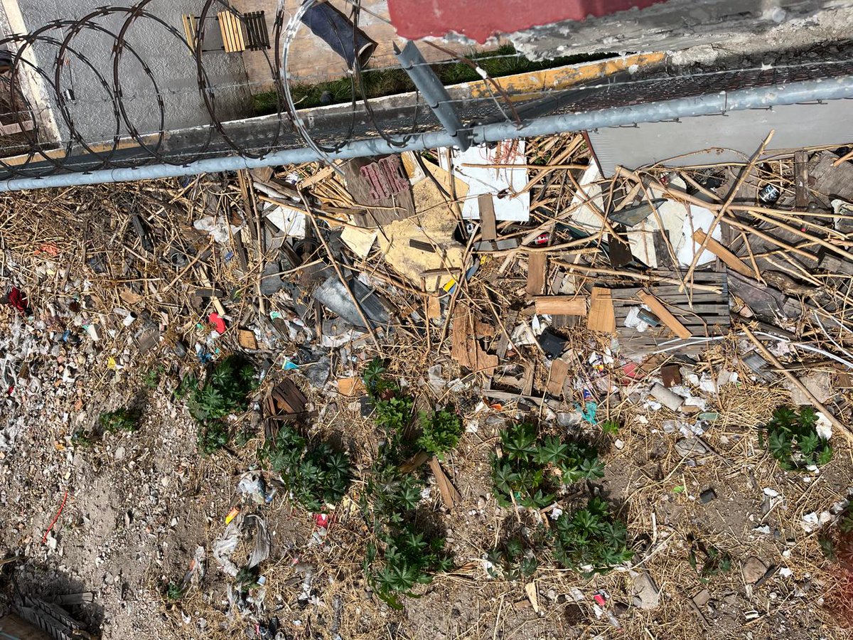 🚨ATENCIÓN🚨 <a href="/TlaquepaqueGob/">Gobierno Tlaquepaque</a> <a href="/LauraImelPerezS/">Laura Imelda Pérez Segura</a> <a href="/Trafico_ZMG/">TráficoZMGuadalajara</a> La Pensión de camiones El Mesón de Santa María en Comonfort #540 en Tlaq. Cp. 45601 tiene en condiciones insalubres el área colindante con el Fracc. Res. Valle del Sur. Animales muertos, basura y hasta lo usan de WC.